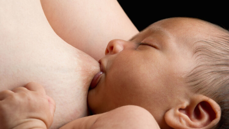 Link utili sull’allattamento allattamento-seno-neonato