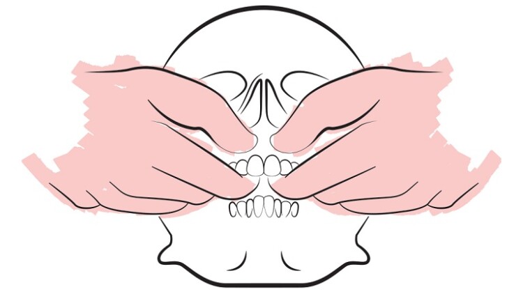 Osteopatia e Dentosofia: uno sguardo alla salute globale della persona a partire dalla bocca Osteopatia e Dentosofia