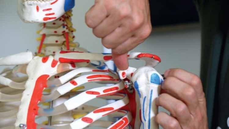 Cosa sono le lesioni intraossee e come l’osteopatia lavora su di esse Lesioni intraossee
