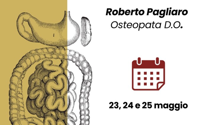 Il Trattamento Viscerale del Sistema Gastroenterico in Medicina Osteopatica