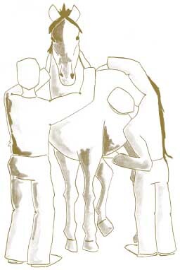 Congresso internazionale Osteopatia Veterinaria: invio abstracts entro il 30 gennaio