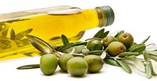 La scienza esalta l’olio extravergine d’oliva: intervista alla ricercatrice CNR Carla Ferreri
