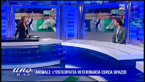 Paolo Tozzi ospite a “Unomattina” per parlare di Osteopatia in ambito Veterinario