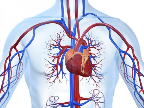Stile di vita, alimentazione sana e corretta respirazione riducono il rischio di ipertensione arteriosa